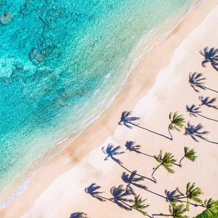 The Best Beach Tote Bag for Summer